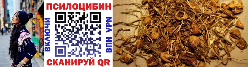 Купить где  Александровское  Галлюциногенные грибы MAGIC MUSHROOMS 